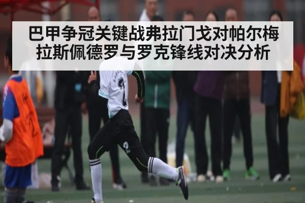 巴甲争冠关键战弗拉门戈对帕尔梅拉斯佩德罗与罗克锋线对决分析